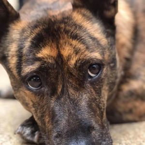 Meet your Posher, Carol